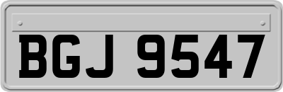 BGJ9547