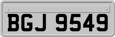 BGJ9549