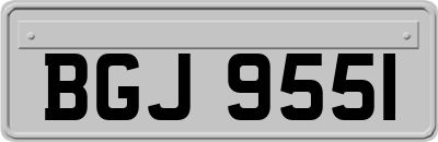 BGJ9551