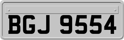 BGJ9554