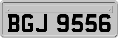 BGJ9556