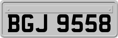 BGJ9558