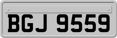 BGJ9559
