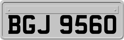 BGJ9560
