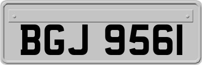 BGJ9561
