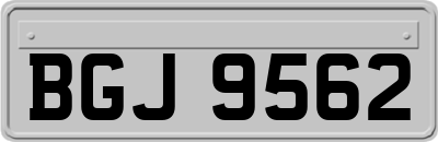 BGJ9562