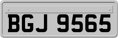 BGJ9565