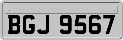 BGJ9567