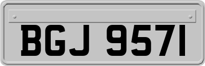 BGJ9571