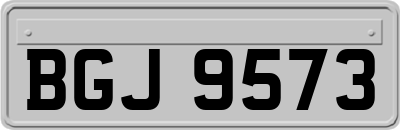 BGJ9573