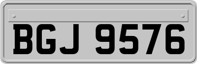 BGJ9576