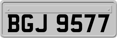 BGJ9577