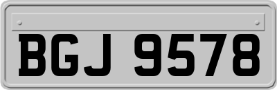 BGJ9578