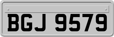 BGJ9579