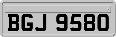 BGJ9580