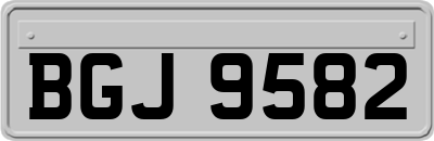 BGJ9582