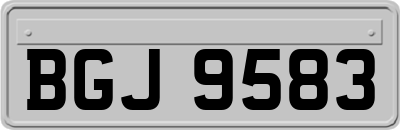 BGJ9583