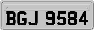BGJ9584