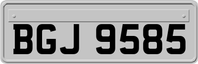 BGJ9585