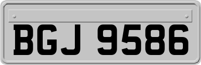 BGJ9586
