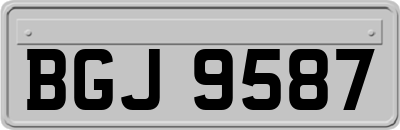 BGJ9587