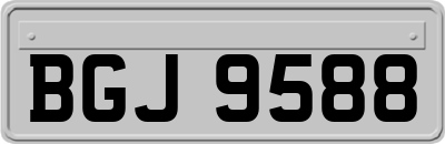 BGJ9588