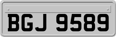 BGJ9589