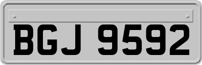 BGJ9592