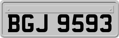 BGJ9593