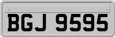 BGJ9595