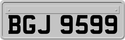 BGJ9599
