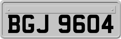 BGJ9604