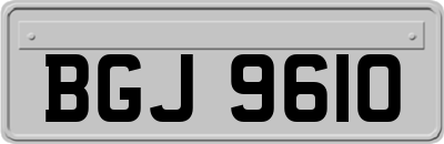 BGJ9610