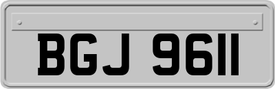 BGJ9611