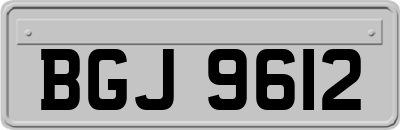 BGJ9612