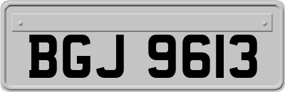 BGJ9613