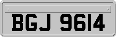 BGJ9614