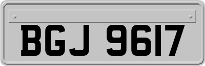 BGJ9617