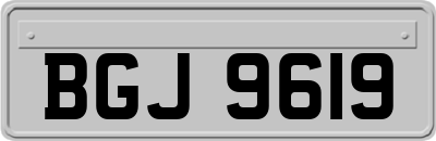 BGJ9619