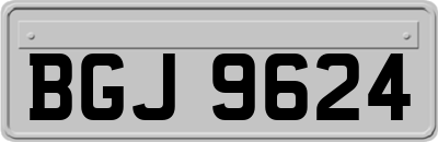 BGJ9624
