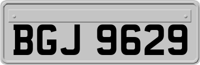 BGJ9629