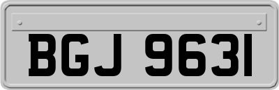 BGJ9631