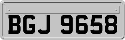 BGJ9658