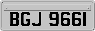 BGJ9661