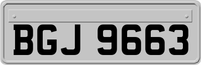 BGJ9663