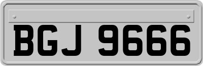 BGJ9666