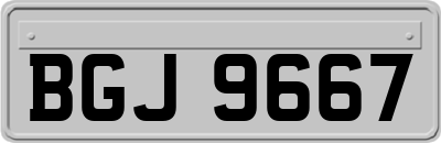 BGJ9667