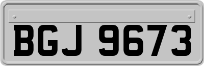 BGJ9673