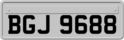 BGJ9688