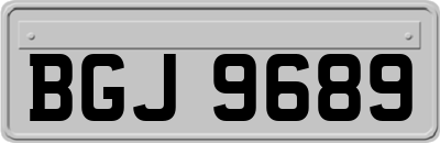 BGJ9689